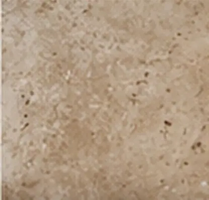 Honed travertine